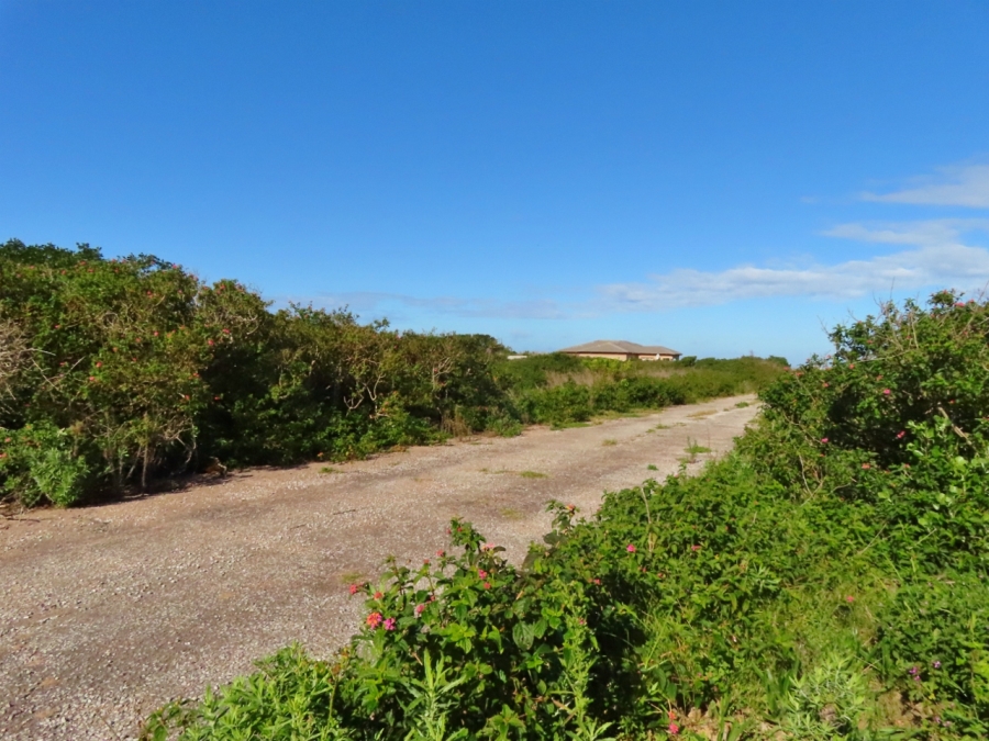 0 Bedroom Property for Sale in Forest Downs Eastern Cape